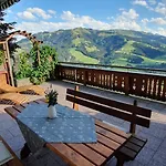Panorama Filzerhof شقة كيرشبرغ ان تيرول